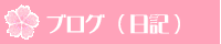 �u���O