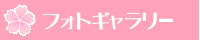 �t�H�g�M�������[
